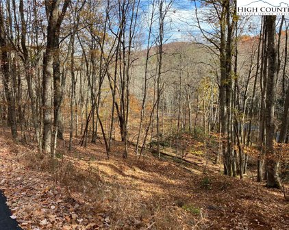 Lot 4 Coyote Trails, Boone