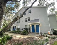3154 Valley Oaks Drive Unit 3154, Tampa image