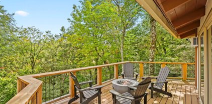 228 Birchwood Lane, Beech Mountain