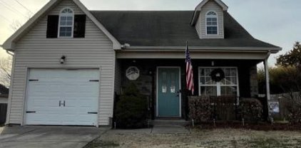 810 Starglen Ct, Smyrna