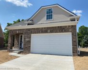 11801 Hines Place, Livonia image