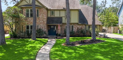 6419 Willow Pine Drive, Spring