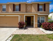 10739 Bamboo Rod Circle, Riverview image