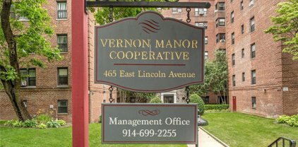 465 E Lincoln Avenue Unit #316, Mount Vernon