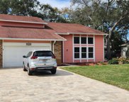 1550 Chateau Wood Drive, Clearwater image