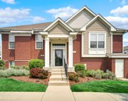 16777 Brighton Drive, Lemont image