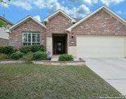 3407 Treefrog Trail, San Antonio image