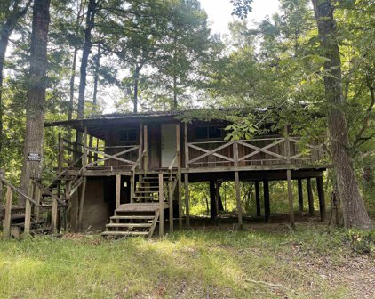205 Connolly, Vidor