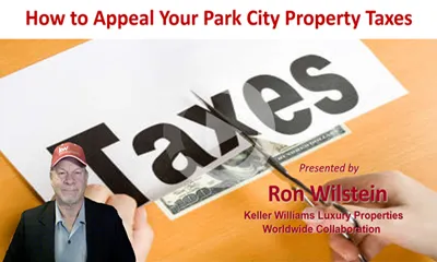 Tax Appeal Webinar