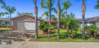 351 Dorothy Ct, Escondido