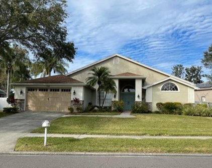1765 Pipers Meadow Dr, Palm Harbor