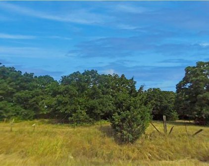 Lot 118 Willow  Drive, Wills Point