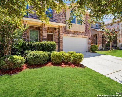 10910 Mustang Oak Dr, San Antonio