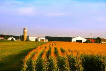 Springfield Township OH
