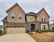 12802 Sandpiper Grove  Court, Charlotte image