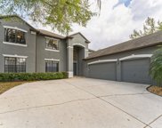 8840 Alafia Cove Drive, Riverview image