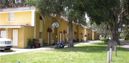 426 W Plant Street, Winter Garden