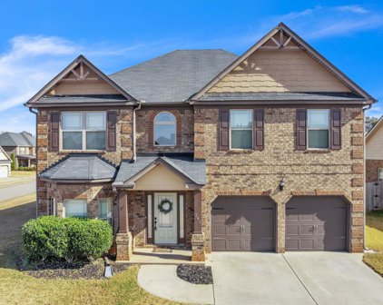 248 Springlakes Estates Drive, Lyman