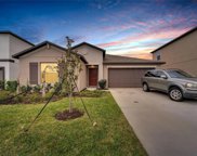 13523 Wild Ginger Street, Riverview image