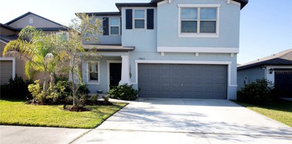 7403 Rosy Periwinkle Court, Tampa