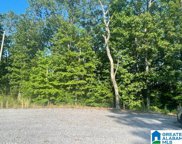 Oak Hill Drive Unit 18, Remlap image
