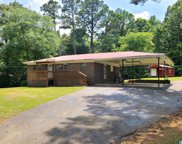 8992 Old Tennessee Pike Road, Pinson image