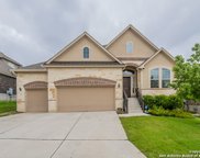 17815 Oxford Mt, Helotes image