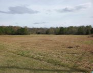 Highway 231, Ashville image