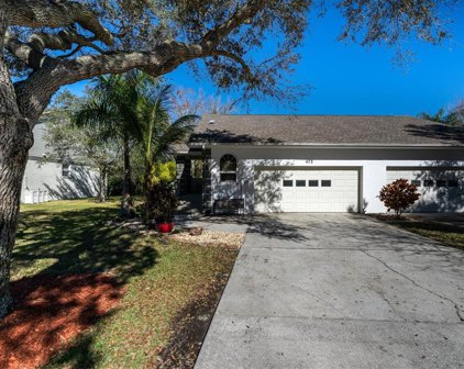 473 E Curlew Place, Tarpon Springs