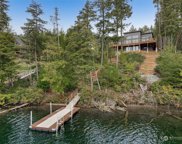 9705 117th Avenue, Anderson Island image