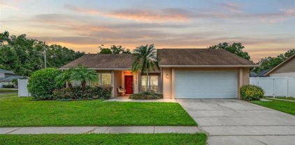 15702 Pinto Place, Tampa