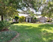 10108 Bell Creek Drive, Riverview image