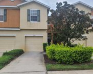 8720 Turnstone Haven Place, Tampa image