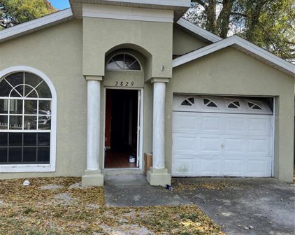 2829 S Brown Avenue, Orlando