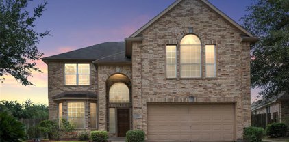 14803 Fletcher Bridge Court, Sugar Land