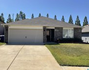 506 Fox Run Lane, Pell City image