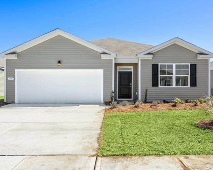 501 Strawberry Feild Way (Cali A lot 114), Galivants Ferry