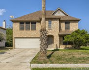 772 Willow Crossing, New Braunfels image