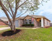 4317 Meadowknoll  Drive, Fort Worth image