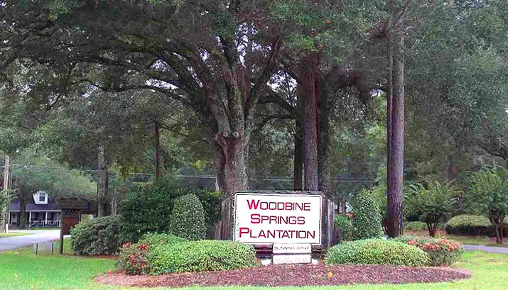 Homes for Sale in Woodbine Springs Plantation, Pace FL