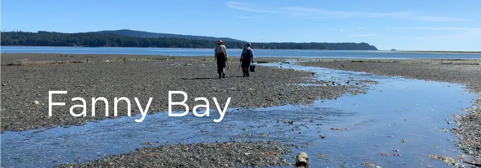 Fanny Bay Real Estate