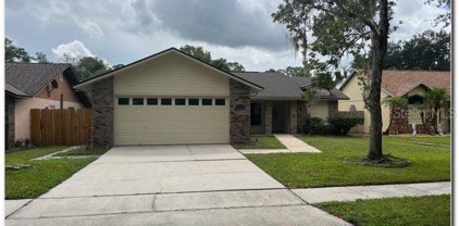 10106 Cheshunt Drive, Orlando