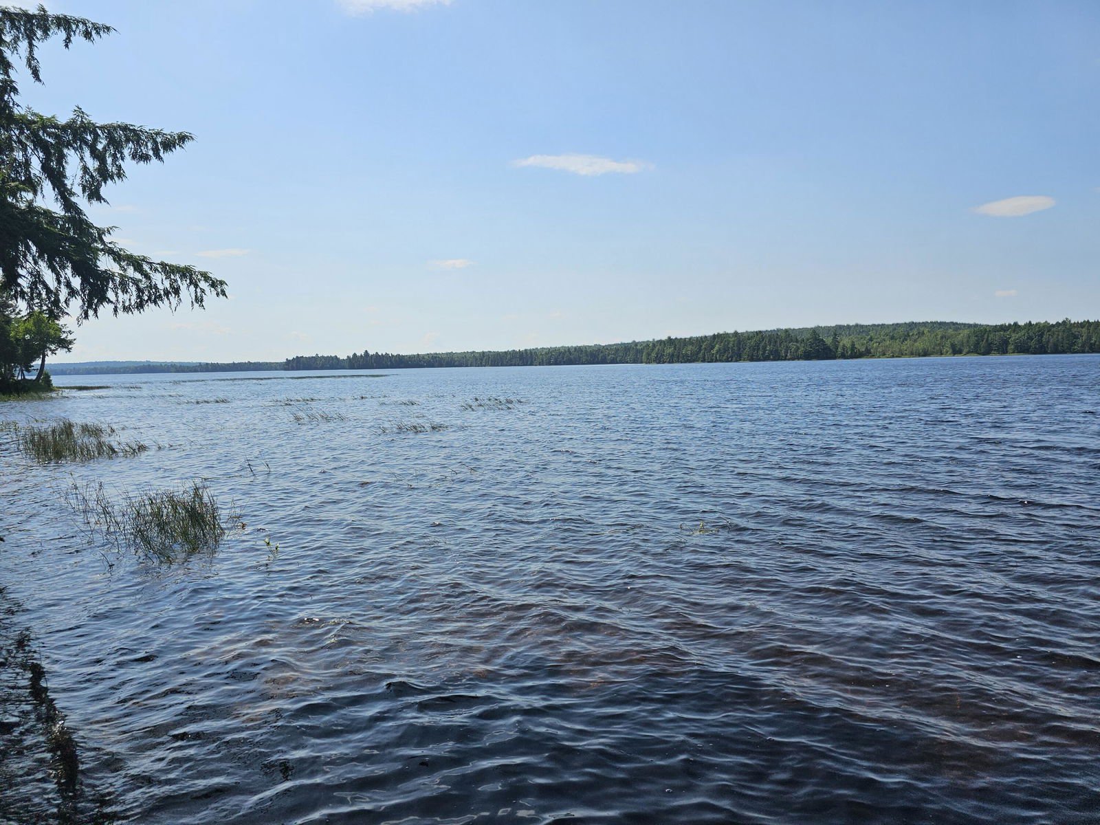 L7 S Molunkus Lake Road, T1 R5 Wels, 04733