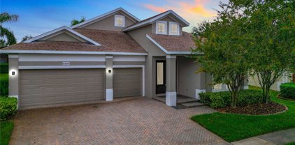 6230 Andreozzi Lane, Windermere