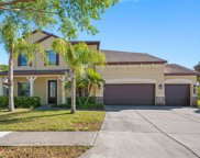 7917 Hampton Lake Drive, Tampa image