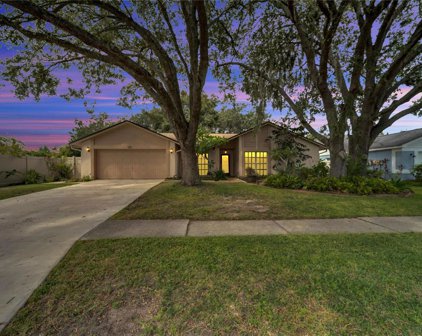 10139 Tarragon Drive, Riverview