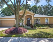 2933 Folklore Drive, Valrico image