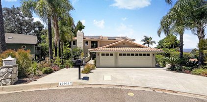 10903 Rim Rd, Escondido