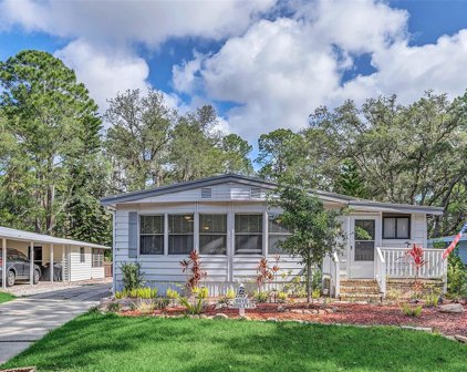 143 E Plantation Boulevard, Lake Mary
