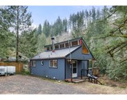 26007 NE LUCIA FALLS RD, Yacolt image